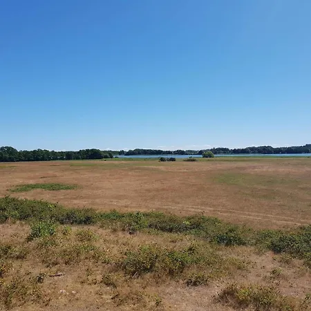 6 Person In אבלטופט